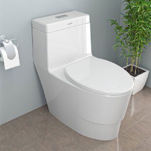 فرنگی ویکتوریا کرد (2)