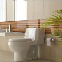 با بوگیر توالت فرنگی از شر بوی بد خلاص شو