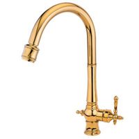 شیر شاوری نگین طلایی قهرمان