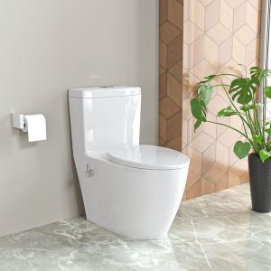 توالت فرنگی