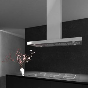 هود جزیره ای