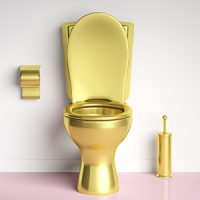 انواع توالت فرنگی رنگی