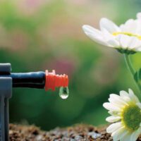 نکات مهم در اجرای آبیاری قطره ای