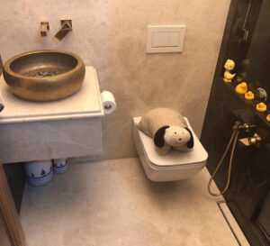 شیر توکار سرویس بهداشتی