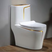 چرا مخزن توالت فرنگی پر نمیشود؟