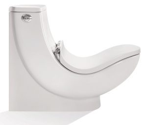 توالت فرنگی طبی