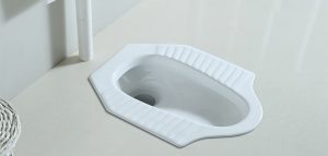 توالت زمینی ریم لس