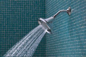 علم دوش ثابت