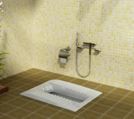 توالت زمینی