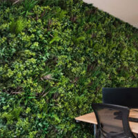 چگونه یک دیوار سبز طراحی کنیم؟