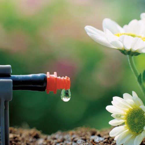 آبیاری-قطره-ای